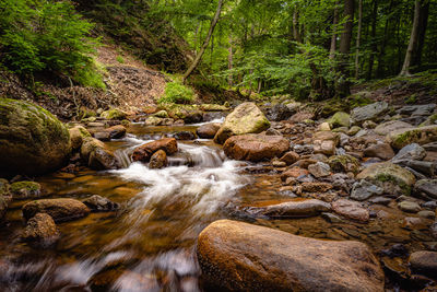 Stream flowing through rocks in forest