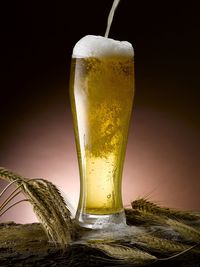 Close-up of beer glass on table