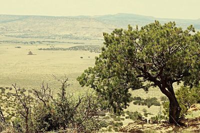Scenic view of landscape