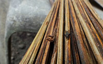 High angle view of wooden plank