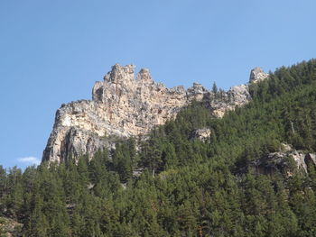 Low angle view of trees on mountain against clear sky