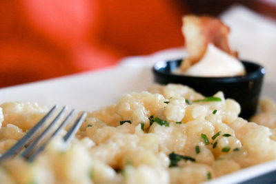 Close-up of food in plate