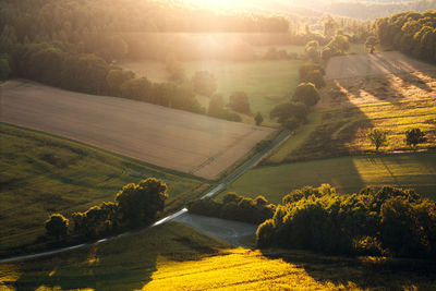 Scenic view of agricultural field