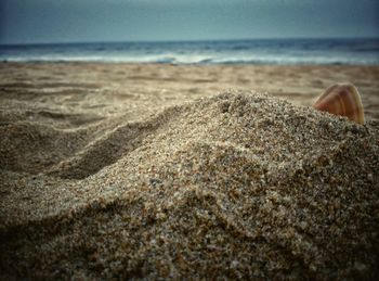 Scenic view of beach