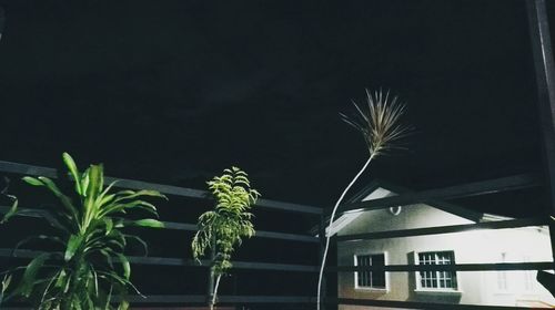 Low angle view of illuminated building against sky at night