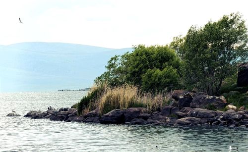 Scenic view of sea against clear sky