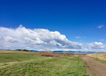 Scenic view of landscape against blue sky