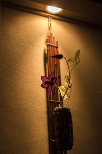 Close-up of illuminated lamp against wall