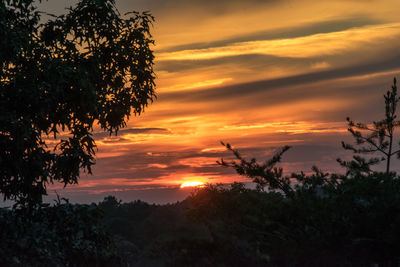 Silhouette trees against sky during sunset