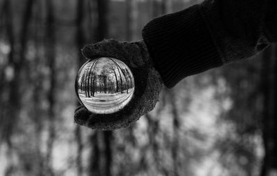 Close up of hand holding glass gall in forest