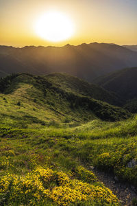 Scenic view of landscape against sky during sunset