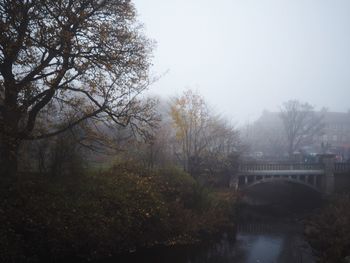 Bridge over bare trees against sky