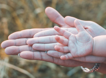 Cropped hands of family