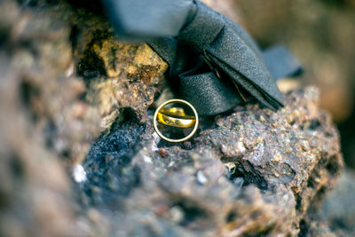 Close-up of wedding rings and tied bow on rock