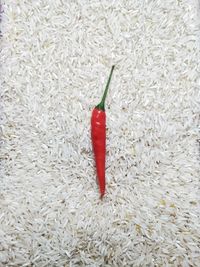 High angle view of red chili pepper