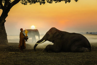 Elephant made merit a monk's bowl. elephant and monk in forest. vintage style. thailand.