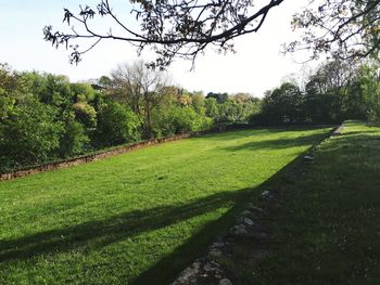 Scenic view of grassy field against sky