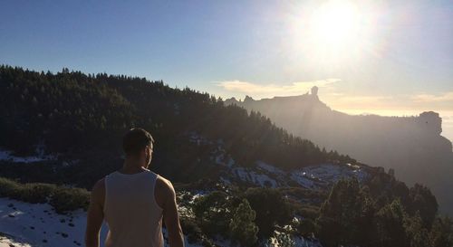 Rear view of man looking at mountains on sunny day