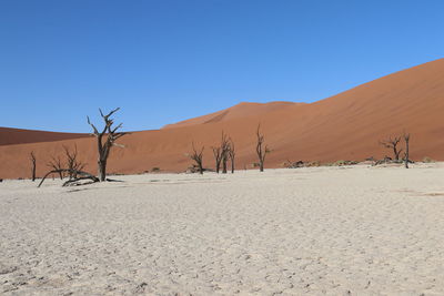 Sand dunes in desert against clear blue sky