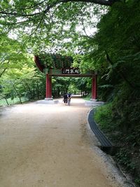 Gazebo in park