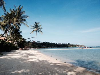 Scenic view of beach against clear blue sky