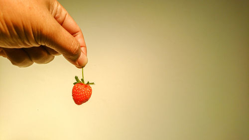 Midsection of person holding apple against red background