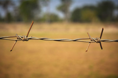 Close-up of barbed wire fence on field