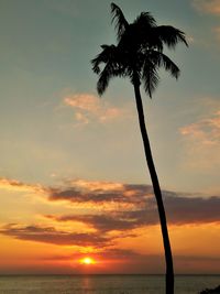 Silhouette palm tree by sea against sky during sunset