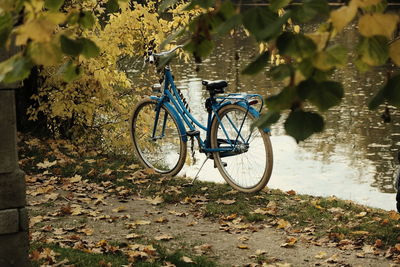 Bicycle parked on street