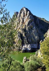 Rock formation by trees against clear sky