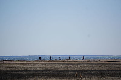 Scenic view of beach against clear sky