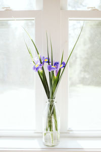 Flowers in vase against window