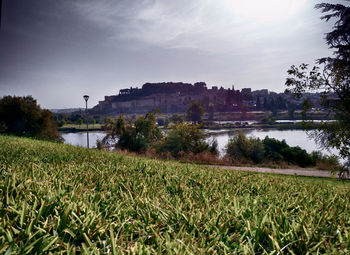 Scenic view of grass against sky