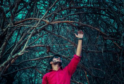 Man reaching bare tree in forest