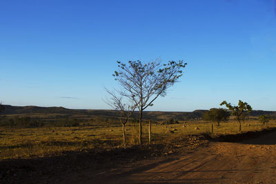 Scenic view of landscape against clear blue sky