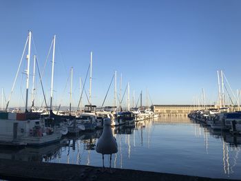 Sailboats moored in harbor against clear sky