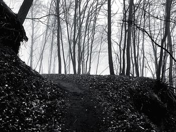 Bare trees on landscape against sky
