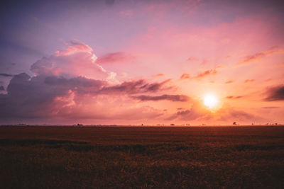 Scenic view of field against sky during sunset