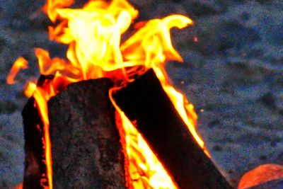 Close-up of bonfire at night