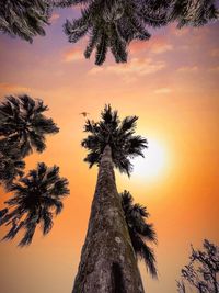 Low angle view of silhouette palm trees against romantic sky