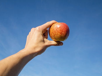 Cropped image of man holding apple against blue sky