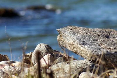 Close-up of rocks in water