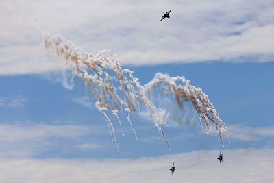 Low angle view of birds flying in sky