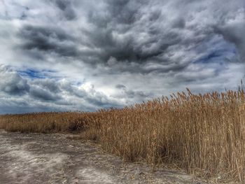 Scenic view of field against cloudy sky