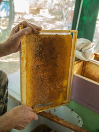 Beekeeper cuts