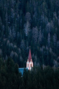 High angle view of church amidst tree