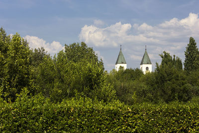 Panoramic view of trees and buildings against sky