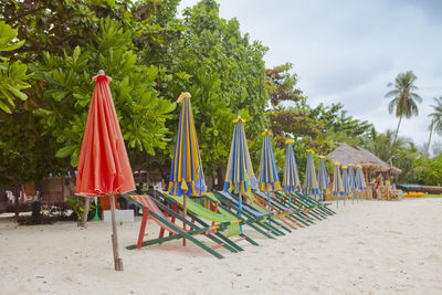 Deck chairs on beach against trees