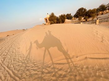 Scenic view of desert against sky