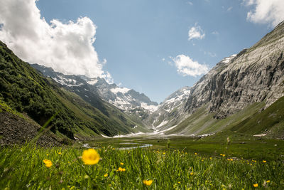 Scenic view of grassy field against cloudy sky